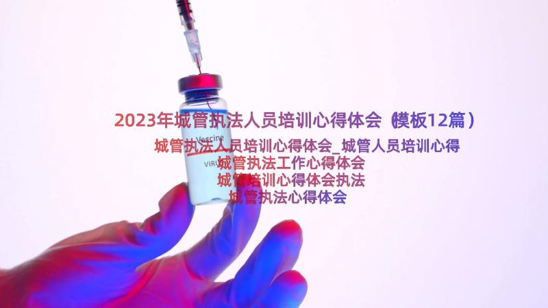 2023年城管执法人员培训心得体会（模板12篇）