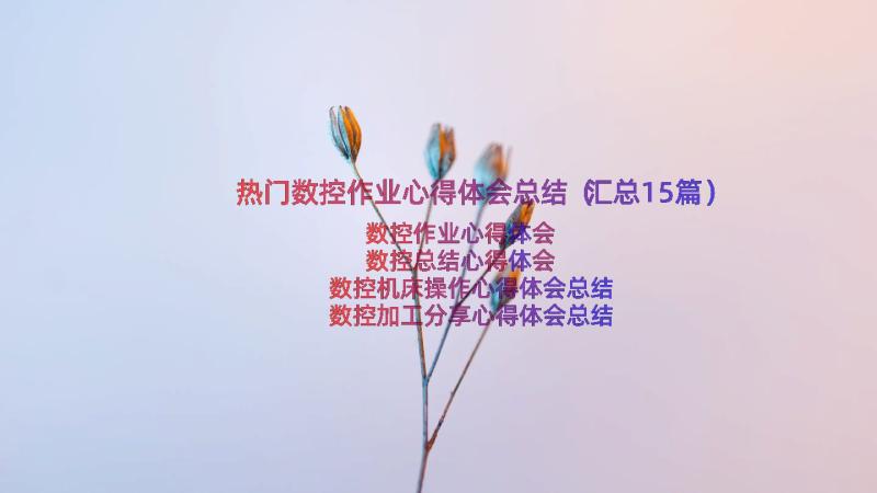 热门数控作业心得体会总结（汇总15篇）