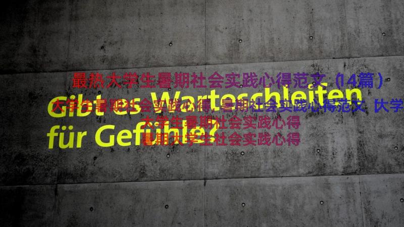 最热大学生暑期社会实践心得范文（14篇）