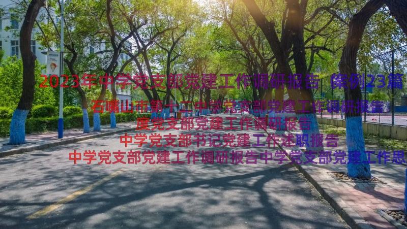 2023年中学党支部党建工作调研报告（案例23篇）