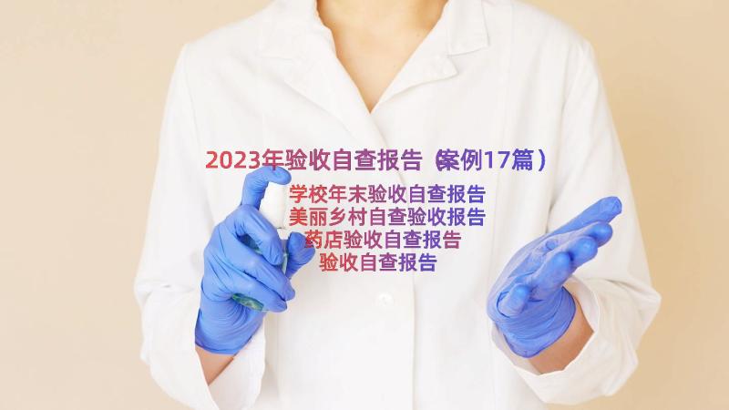 2023年验收自查报告（案例17篇）