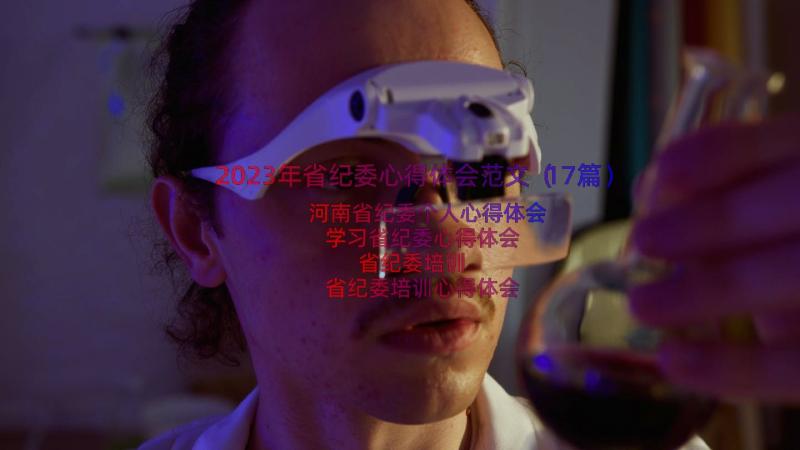 2023年省纪委心得体会范文（17篇）