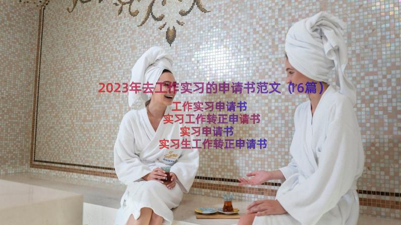 2023年去工作实习的申请书范文（16篇）