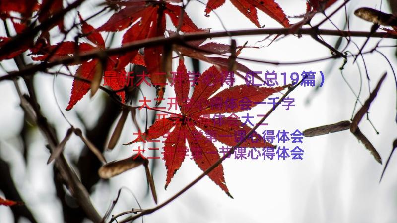 最新大二开学心得（汇总19篇）