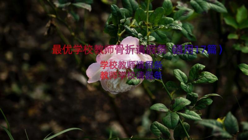 最优学校教师骨折请假条（通用17篇）