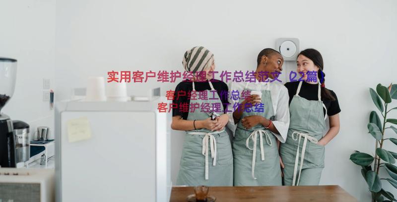 实用客户维护经理工作总结范文（22篇）