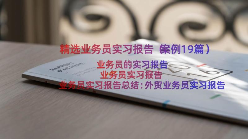 精选业务员实习报告（案例19篇）