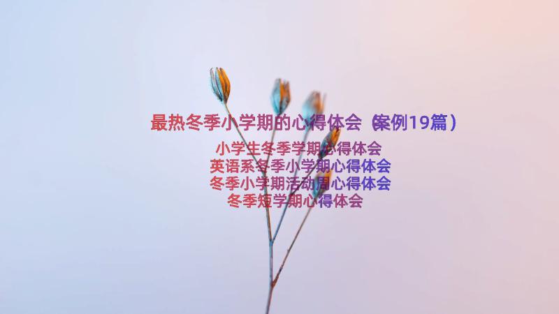 最热冬季小学期的心得体会（案例19篇）