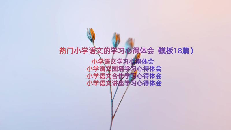 热门小学语文的学习心得体会（模板18篇）