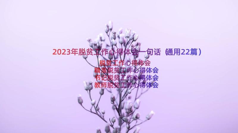 2023年脱贫工作心得体会一句话（通用22篇）