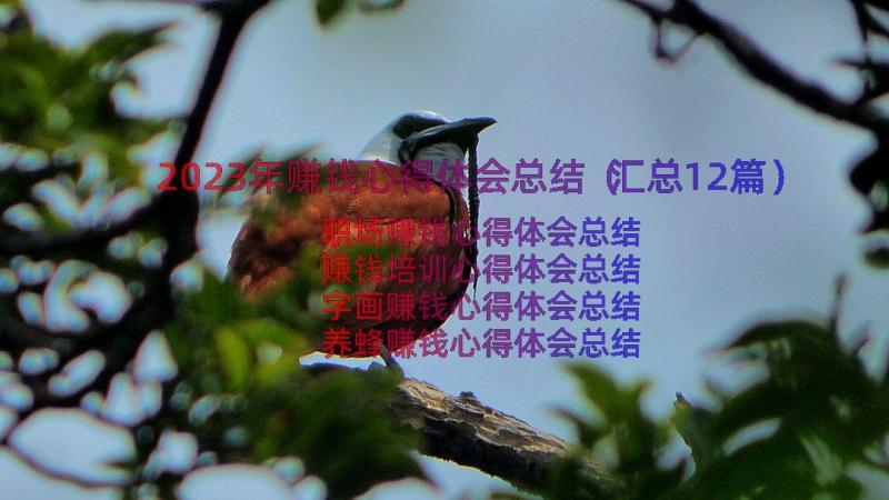 2023年赚钱心得体会总结（汇总12篇）