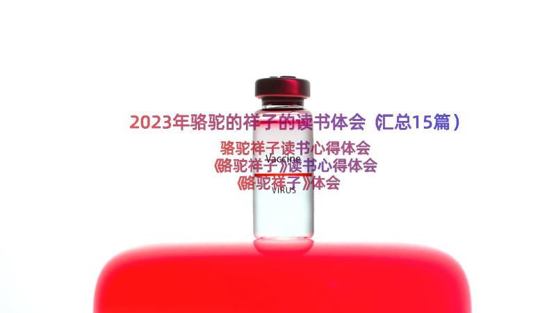 2023年骆驼的祥子的读书体会（汇总15篇）