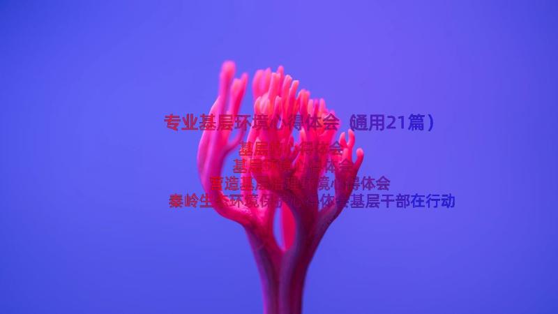 专业基层环境心得体会（通用21篇）