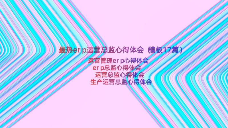 最热erp运营总监心得体会（模板17篇）