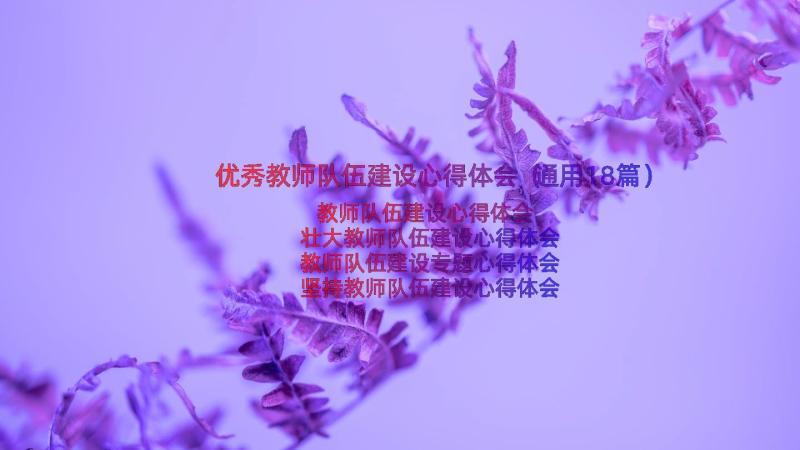 优秀教师队伍建设心得体会（通用18篇）