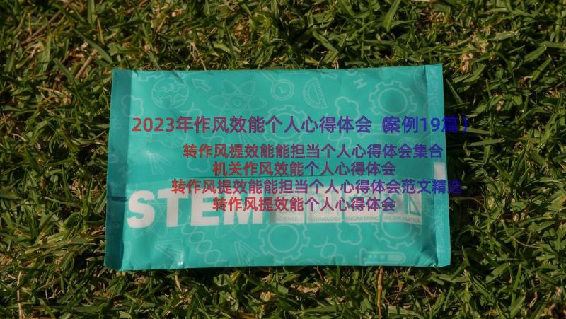 2023年作风效能个人心得体会（案例19篇）