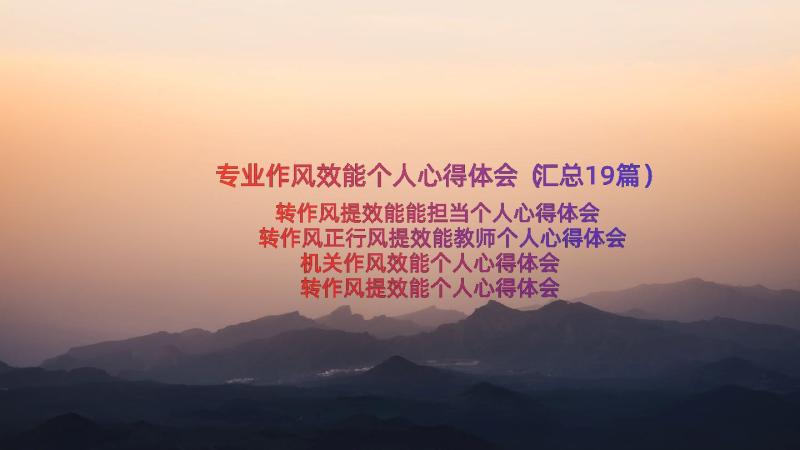 专业作风效能个人心得体会（汇总19篇）