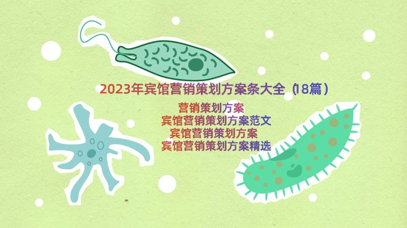 2023年宾馆营销策划方案条大全（18篇）