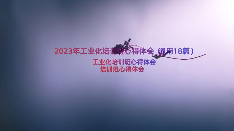 2023年工业化培训班心得体会（通用18篇）