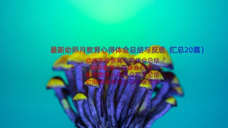 最新幼师月教育心得体会总结与反思（汇总20篇）