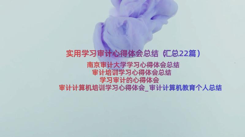 实用学习审计心得体会总结（汇总22篇）