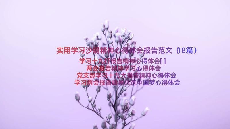 实用学习沙钢精神心得体会报告范文（18篇）