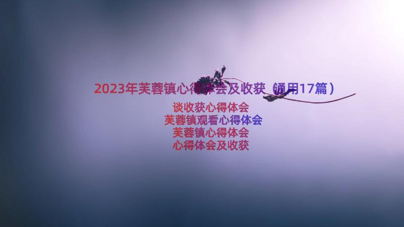 2023年芙蓉镇心得体会及收获（通用17篇）