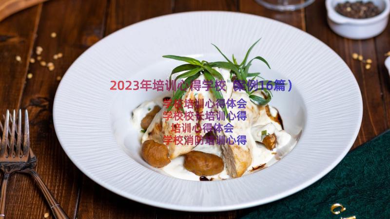 2023年培训心得学校（案例16篇）