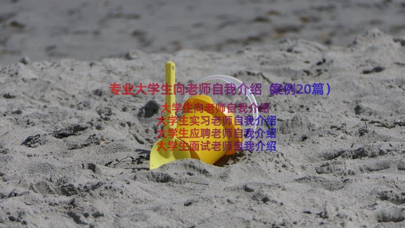 专业大学生向老师自我介绍（案例20篇）