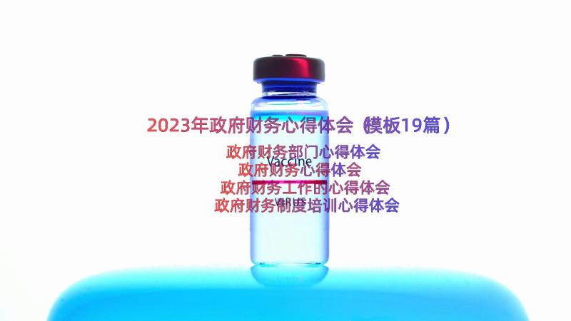 2023年政府财务心得体会（模板19篇）