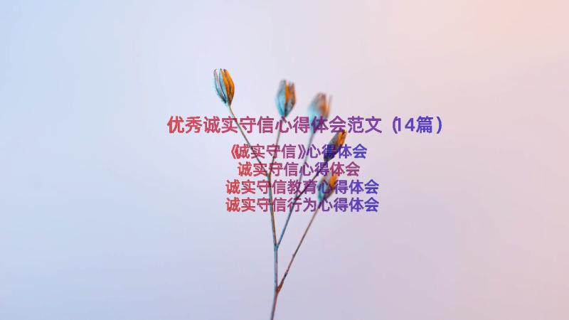 优秀诚实守信心得体会范文（14篇）