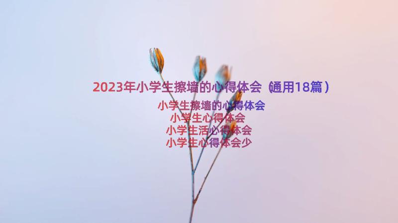 2023年小学生擦墙的心得体会（通用18篇）