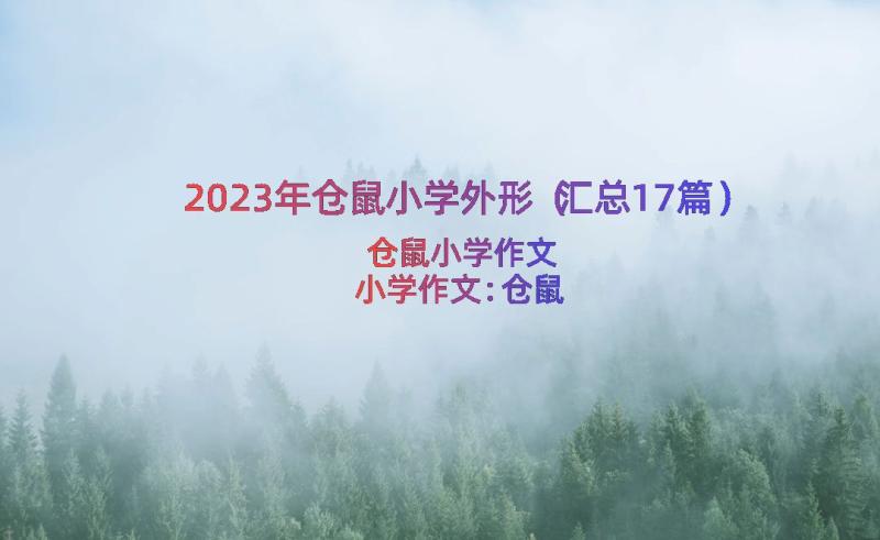 2023年仓鼠小学外形（汇总17篇）