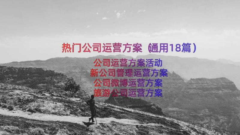 热门公司运营方案（通用18篇）