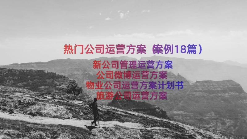 热门公司运营方案（案例18篇）