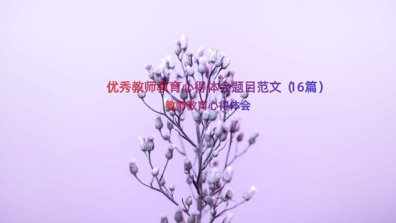 优秀教师教育心得体会题目范文（16篇）