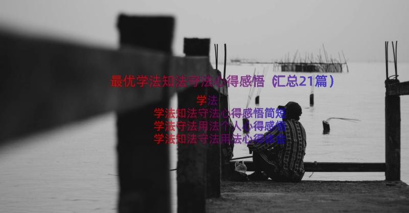 最优学法知法守法心得感悟（汇总21篇）