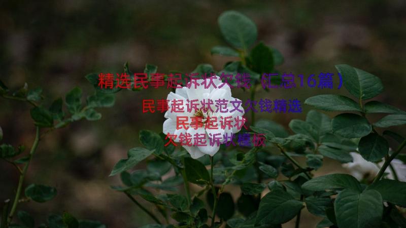 精选民事起诉状欠钱（汇总16篇）