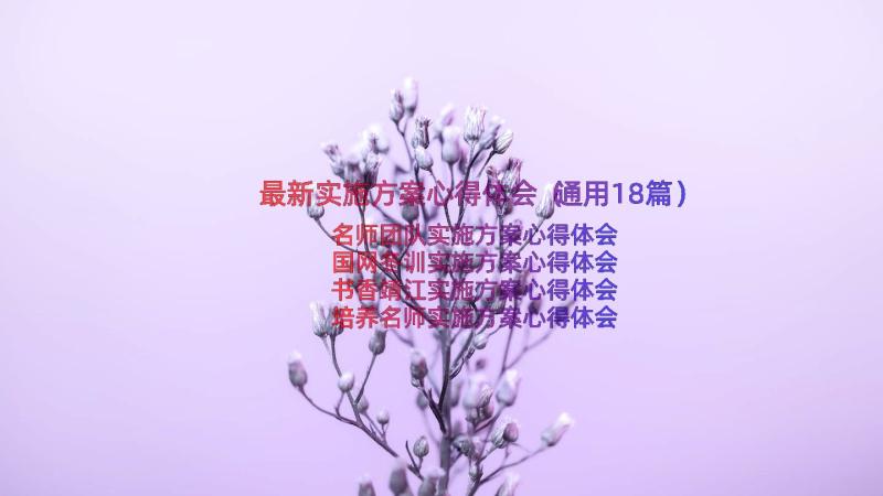 最新实施方案心得体会（通用18篇）