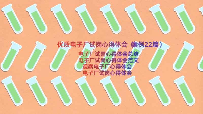 优质电子厂试岗心得体会（案例22篇）