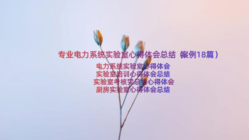 专业电力系统实验室心得体会总结（案例18篇）