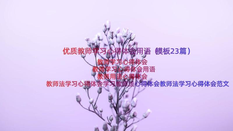 优质教师学习心得体会用语（模板23篇）