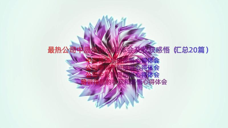 最热公司中层培训心得体会及收获感悟（汇总20篇）