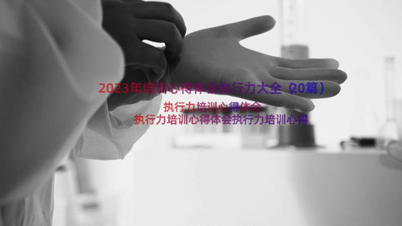 2023年培训心得体会执行力大全（20篇）