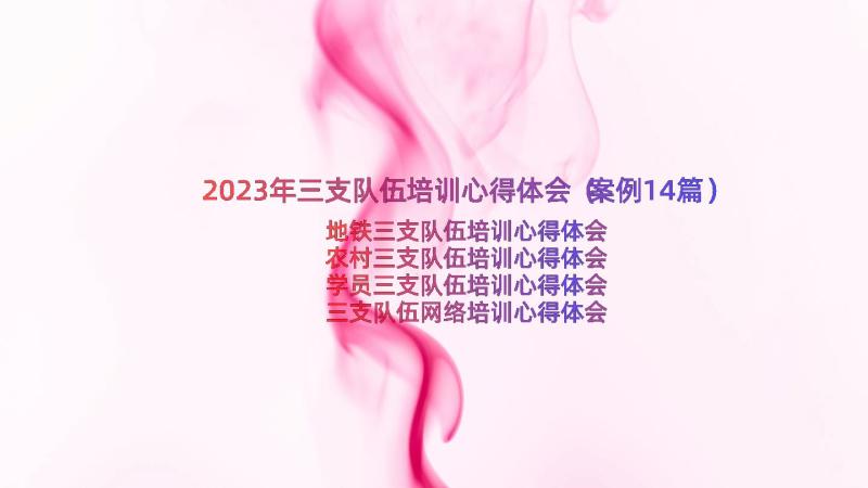 2023年三支队伍培训心得体会（案例14篇）