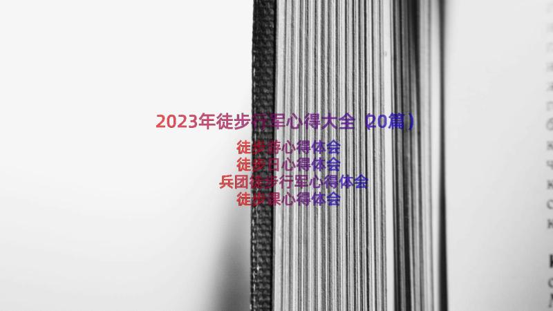 2023年徒步行军心得大全（20篇）