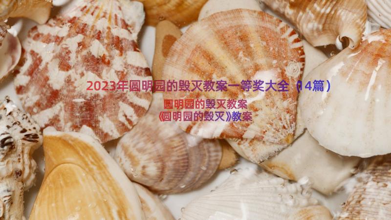 2023年圆明园的毁灭教案一等奖大全（14篇）