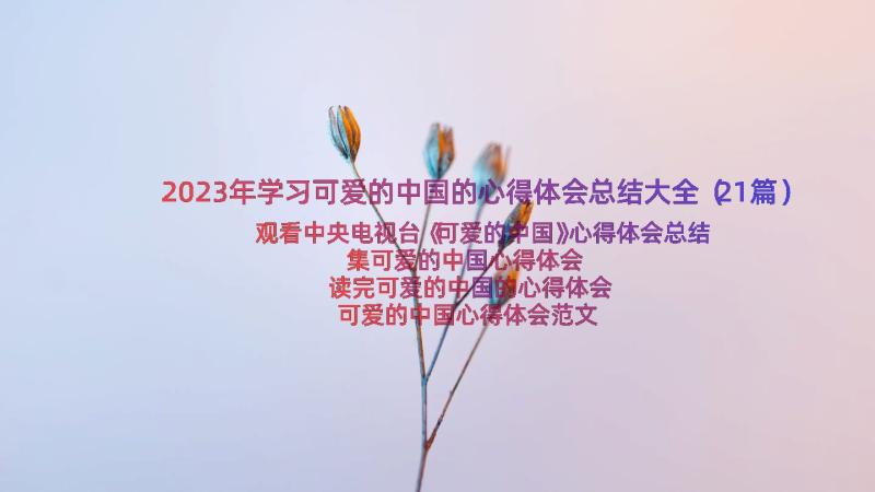 2023年学习可爱的中国的心得体会总结大全（21篇）