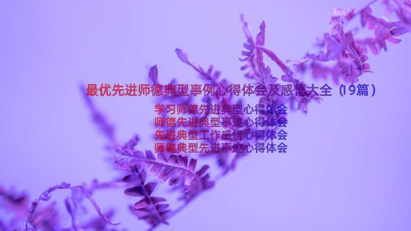 最优先进师德典型事例心得体会及感悟大全（19篇）