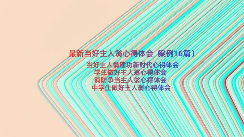 最新当好主人翁心得体会（案例16篇）